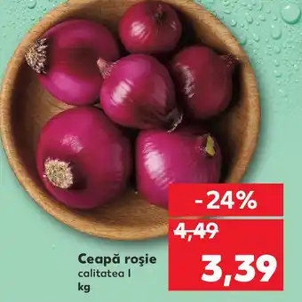 Kaufland Ceapă roşie Ofertă