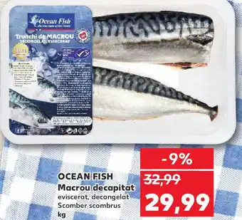 Kaufland OCEAN FISH Macrou decapitat Ofertă