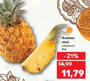 Kaufland Ananas mini Ofertă