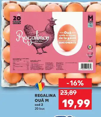 Kaufland REGALINA OUĂ M Ofertă