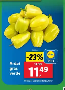 Lidl Ardei gras verde Ofertă