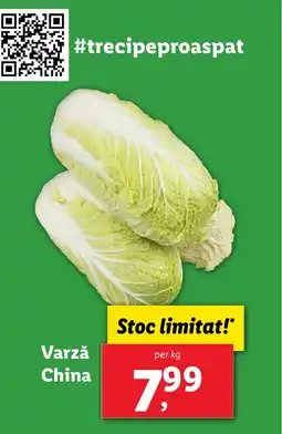 Lidl Varzǎ China Ofertă