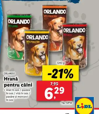 Lidl ORLANDO Hrană pentru câini Ofertă