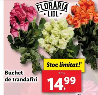 Lidl Buchet de trandafiri Ofertă