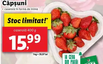 Lidl Căpşuni Ofertă