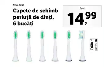 Lidl Capete de schimb periuţă de dinți, 6 bucăți Ofertă