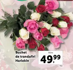 Lidl Buchet de trandafiri Harlekin Ofertă