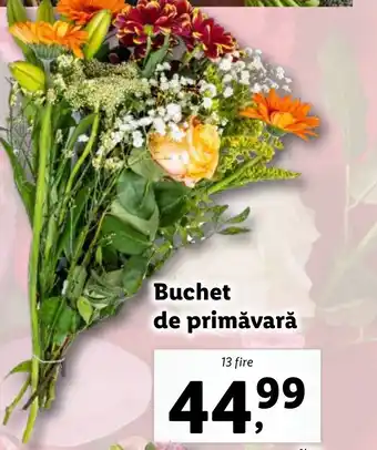 Lidl Buchet de primăvară Ofertă