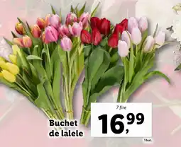 Lidl Buchet de lalele Ofertă