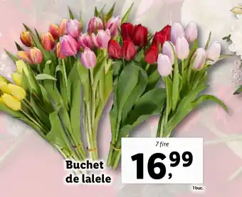 Lidl Buchet de lalele Ofertă