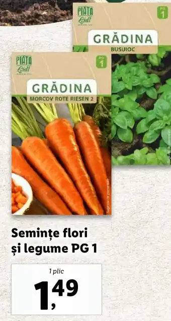 Lidl Semințe flori şi legume PG 1 Ofertă