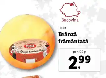 Lidl TUDIA Brânză frământată Ofertă