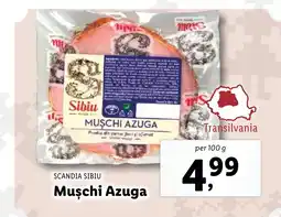 Lidl SCANDIA SIBIU Muşchi Azuga Ofertă