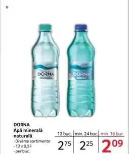 Selgros DORNA Apă minerală naturală Ofertă