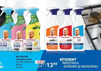 Selgros MR. PROPER Detergent spray Ofertă