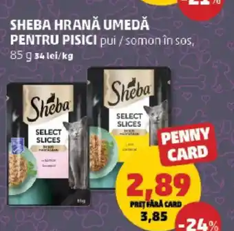 Penny SHEBA Hrană umedă pentru pisici pui/somonîn sos Ofertă