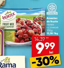 PROFI Amestec de fructe Hortex cu zmeură Ofertă