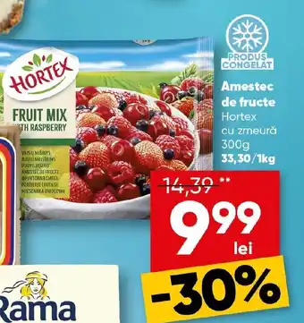 PROFI Amestec de fructe Hortex cu zmeură Ofertă