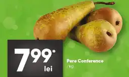 PROFI Pere Conference Ofertă