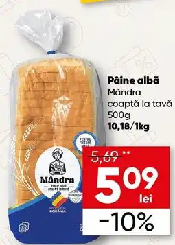 PROFI Pâine albă Mândra coaptă la tavă Ofertă