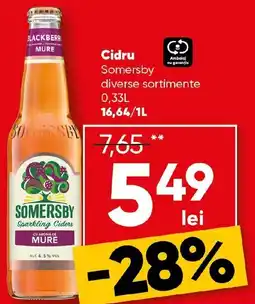 PROFI Cidru Somersby Ofertă