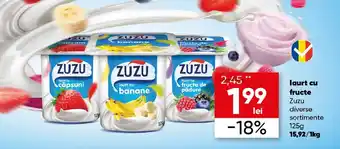 PROFI laurt cu fructe Zuzu Ofertă