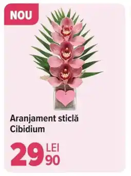 Carrefour Aranjament sticlă Cibidium Ofertă