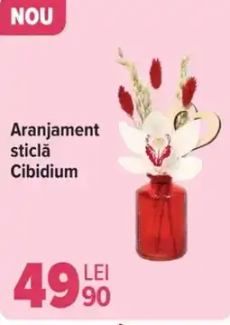 Carrefour Aranjament sticlă Cibidium Ofertă