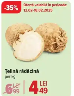 Carrefour Market Ţelină rădăcină Ofertă