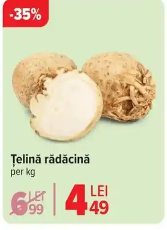 Carrefour Țelină rădăcină Ofertă