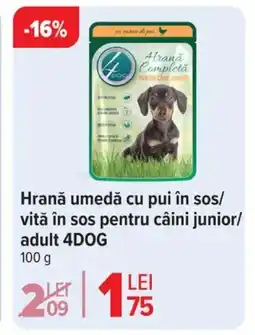 Carrefour Hrană umedă cu pui în sos/ vită în sos pentru câini junior/ adult 4DOG Ofertă