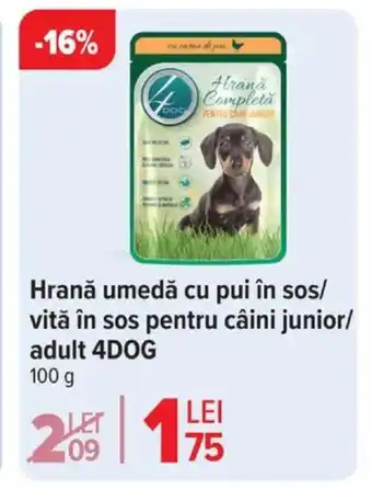 Carrefour Hrană umedă cu pui în sos/ vită în sos pentru câini junior/ adult 4DOG Ofertă