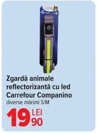 Carrefour Zgardă animale reflectorizantă cu led Carrefour Companino Ofertă