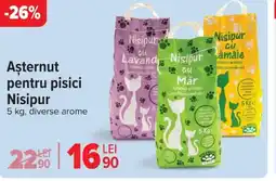 Carrefour Aşternut pentru pisici Nisipur Ofertă