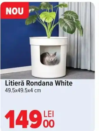 Carrefour Litieră Rondana White Ofertă