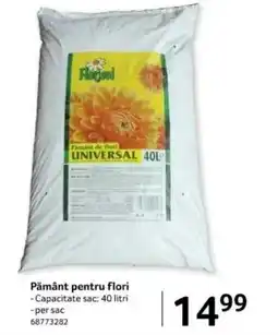 Selgros Pământ pentru flori Ofertă