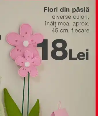 Kik Flori din pâslă Ofertă