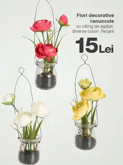 Kik Flori decorative ranuncule Ofertă