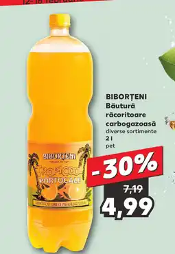 Kaufland BIBORȚENI Băutură răcoritoare carbogazoasă Ofertă