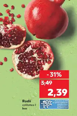 Kaufland Rodii Ofertă