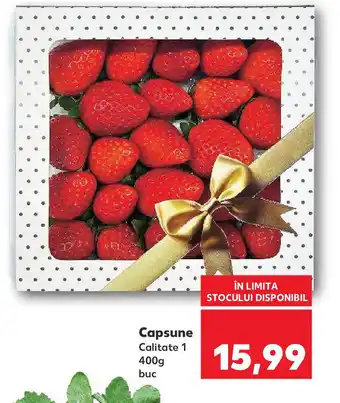 Kaufland Capsune Ofertă