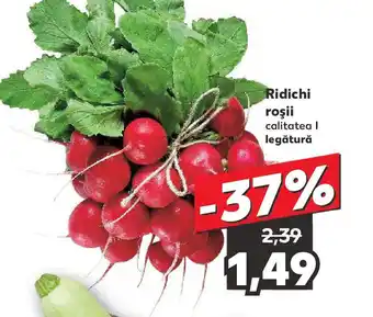 Kaufland Ridichi roşii Ofertă