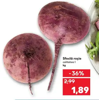 Kaufland Sfeclă roşie Ofertă