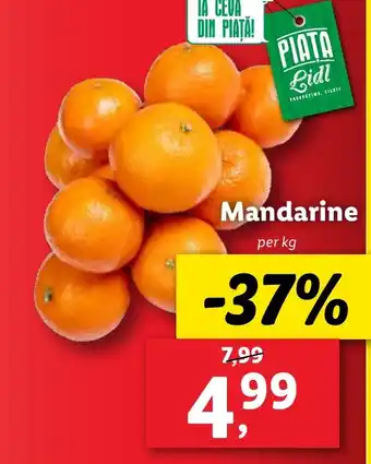 Lidl Mandarine Ofertă