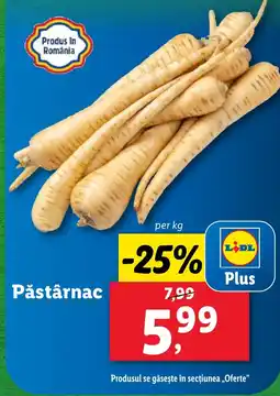 Lidl Pǎstârnac Ofertă