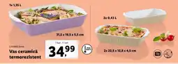 Lidl LIVARNO HOME Vas ceramică termorezistent Ofertă