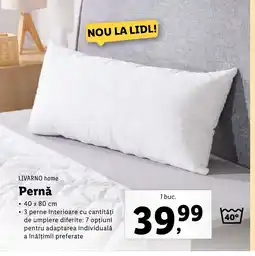 Lidl LIVARNO HOME Pernǎ Ofertă