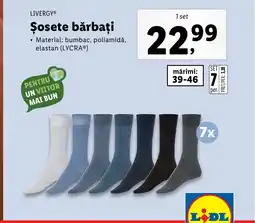 Lidl LIVERGYⓇ Şosete bărbaţi Ofertă