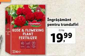 Lidl Îngrăşământ pentru trandafiri Ofertă