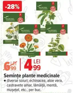 Carrefour Semințe plante medicinale Ofertă